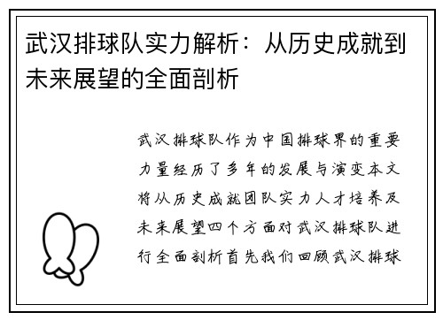 武汉排球队实力解析：从历史成就到未来展望的全面剖析