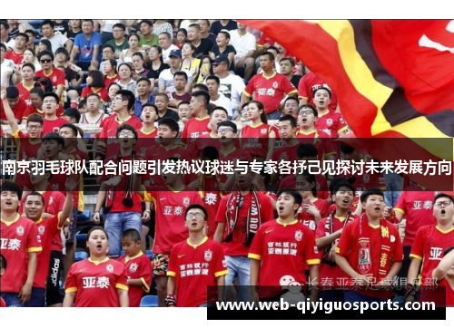 南京羽毛球队配合问题引发热议球迷与专家各抒己见探讨未来发展方向